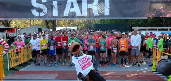 Crunchy gets ready to take an early lead in THE PLAYERS DONNA 5K race to finish breast cancer.