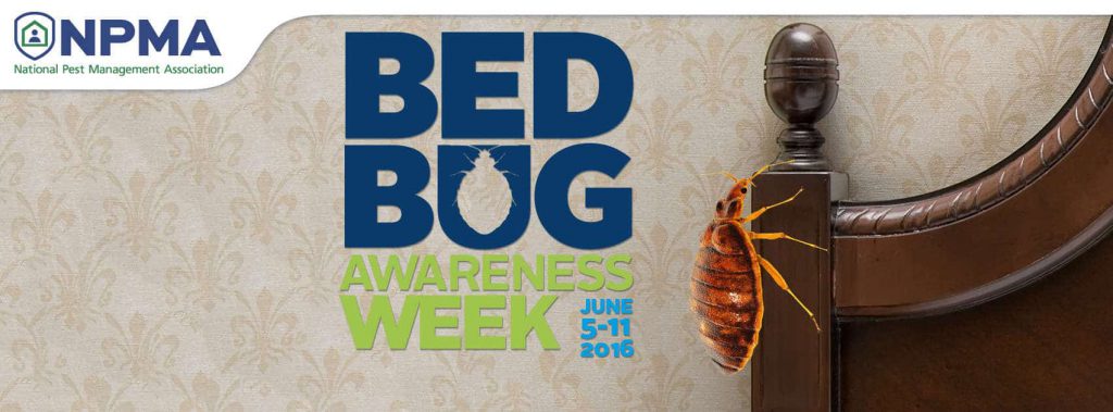 bed bugs Jacksonville