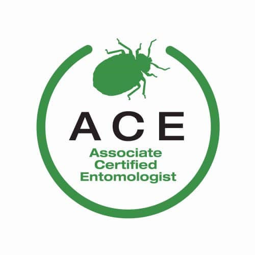 ACE certification