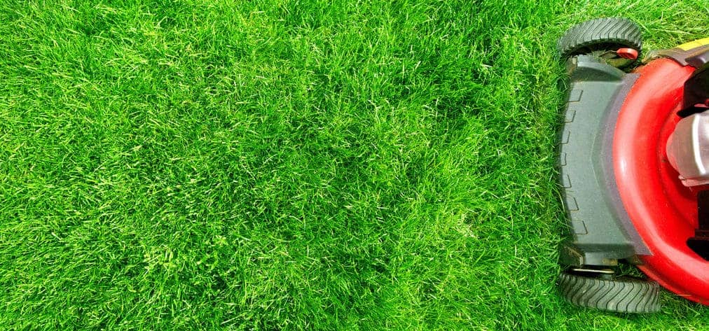 How to Mow Your Lawn   HowStuffWorks