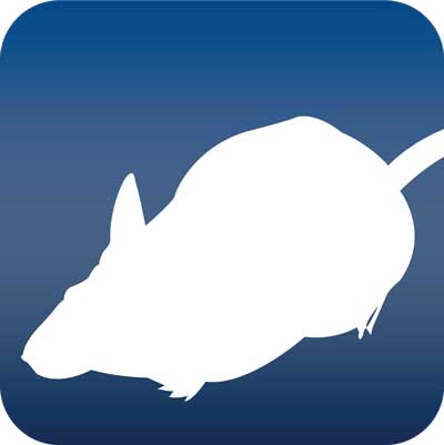 rodent control icon