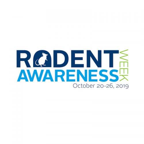 2019 rodent awareness week