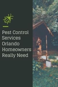 Which Pest Control Services Do Orlando Homeowners Really Need