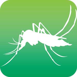 get rid of mosquitoes in your yard pest control jacksonville