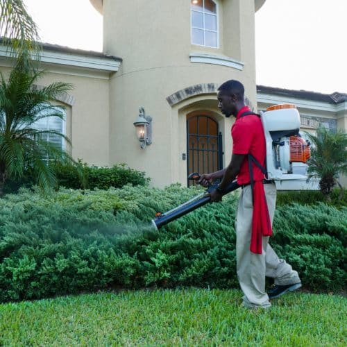 lawn and outdoor pest control spraying