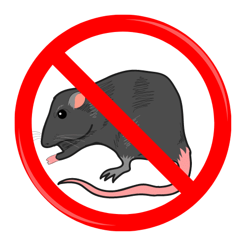 DIY Mouse Pest Control Products