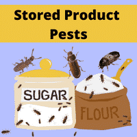 Stored Product Pests