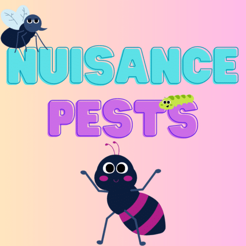 Common summer Nuisance Pests This Time of Year