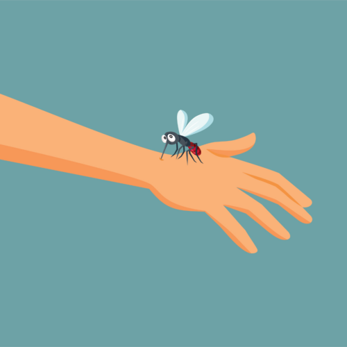 cartoon hand with a mosquito on it for blog titled How Do I Get Rid of Mosquitoes in My Yard Permanently?