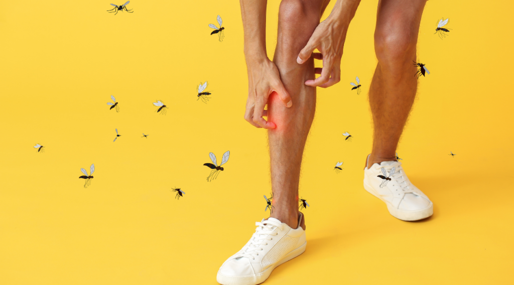 image of person scratching legs being bitten by mosquitoes for the blog: What Is the Most Effective Mosquito Control?