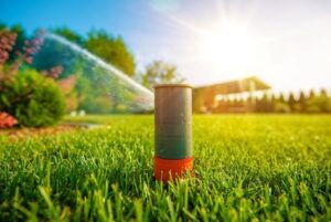 lawn outdoor pest control services