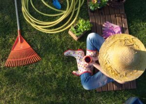 lawn and outdoor pest control