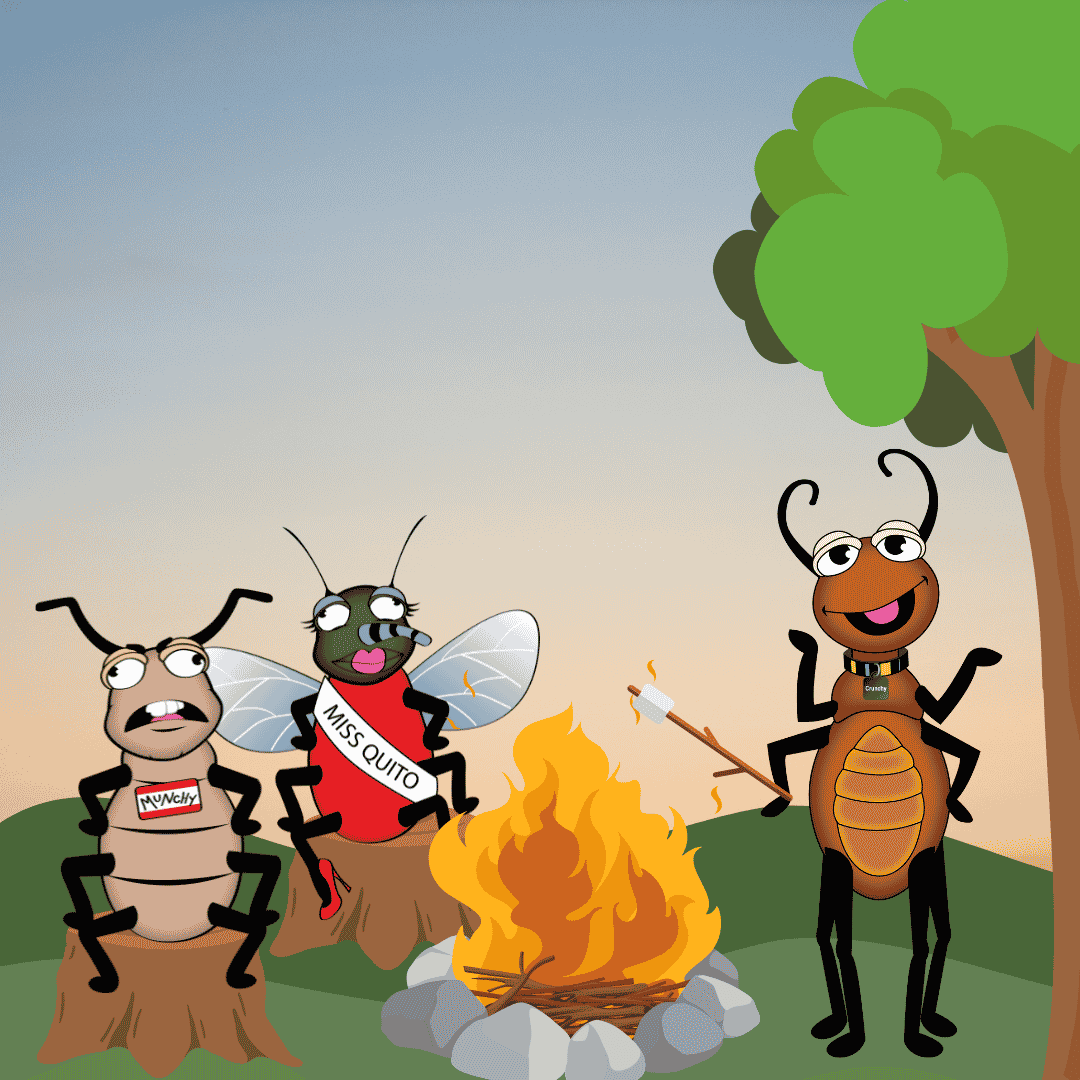 Sweepstakes-2022-Image Sweepstakes-2022-Image