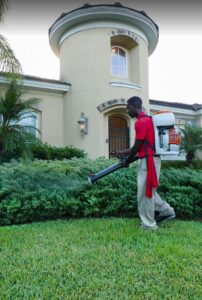 turner pest control in orlando