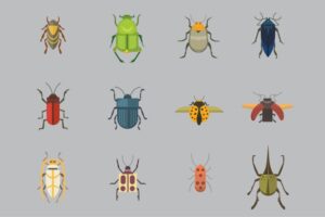 common fort myers pests