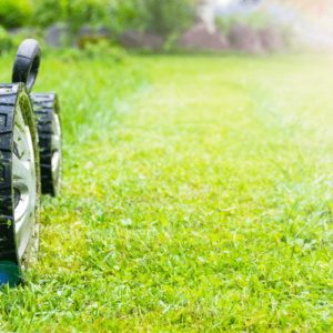 lawn pest care florida