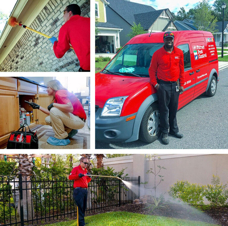 Gainesville Residential Pest Control & Extermination Services