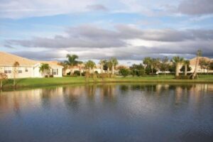 port st lucie pest control guide