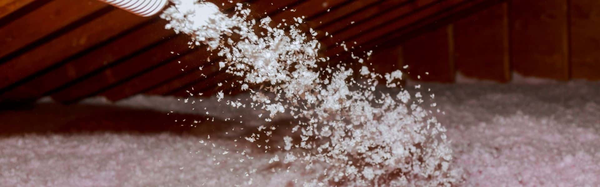 turner-pest-control-TAP-pest-control-insulation-header-1 turner-pest-control-TAP-pest-control-insulation-header-1