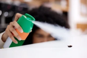 woman using a diy pest control method to kill a bug