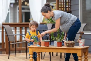 Create a Safe Haven Pest Control Tampa