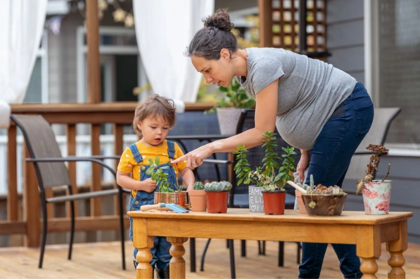 Create a Safe Haven Pest Control Tampa