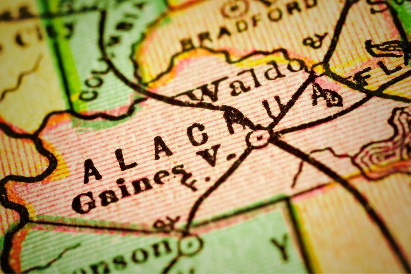 Tailored Pest Control Services throughout Alachua County