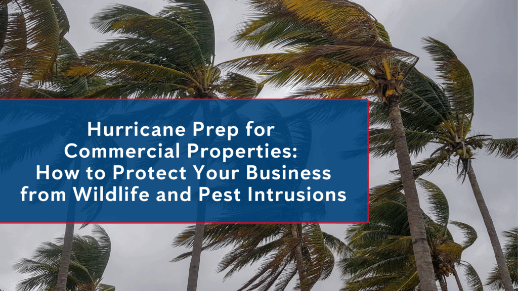 Hurricane Prep for Commercial Businesses
