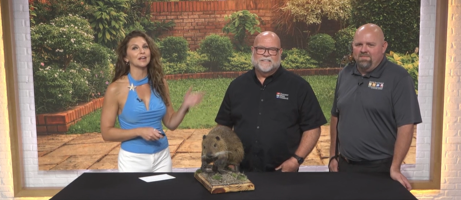 Turner Pest Control on First Coast Living