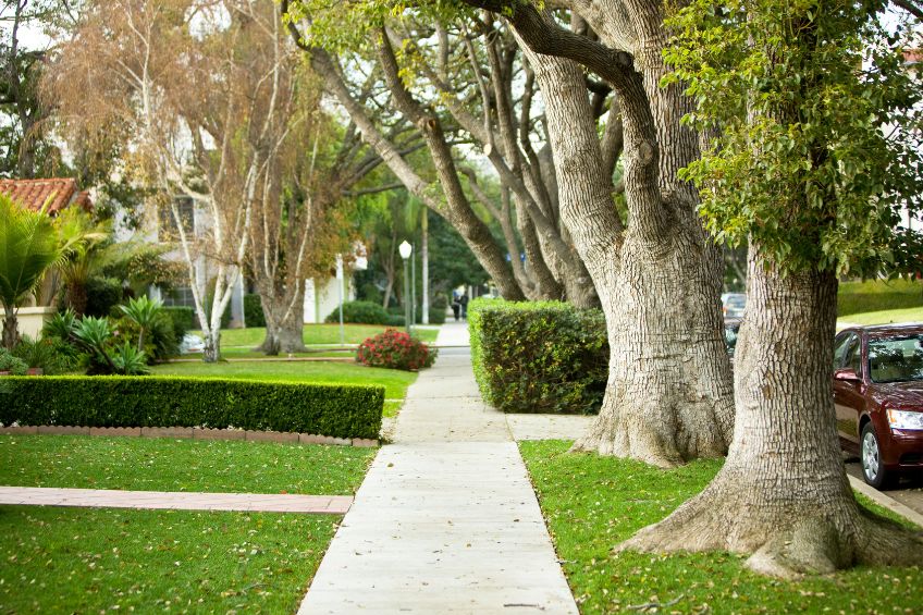 pest-control-in-alachua-county-s-suburbs-what-every-homeowner-needs-to-know