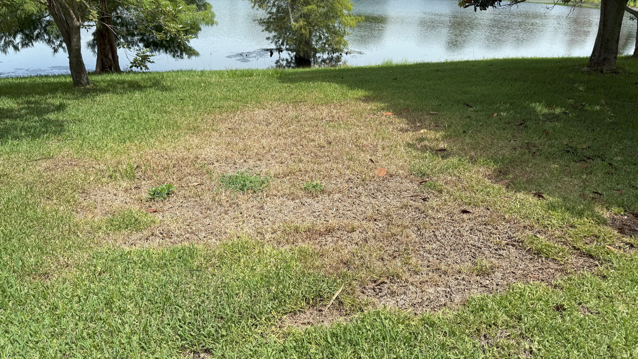 Learn how Turner Pest Control inspects, treats and restores your turf