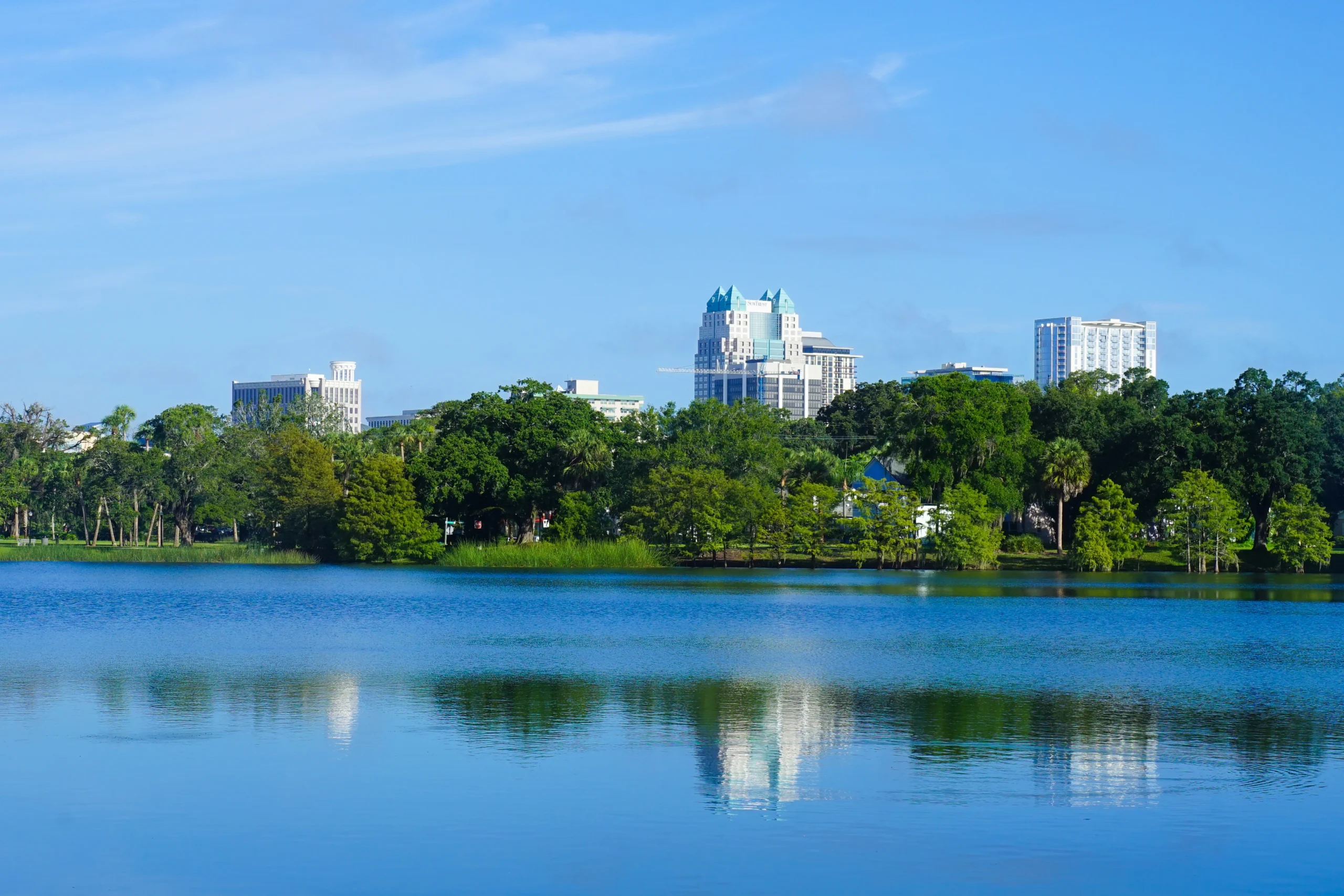 year-round pest control in Orlando