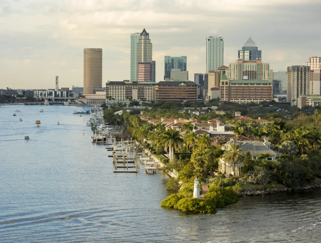 Waterfront Tampa pest problems