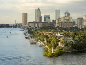 Waterfront Tampa pest problems