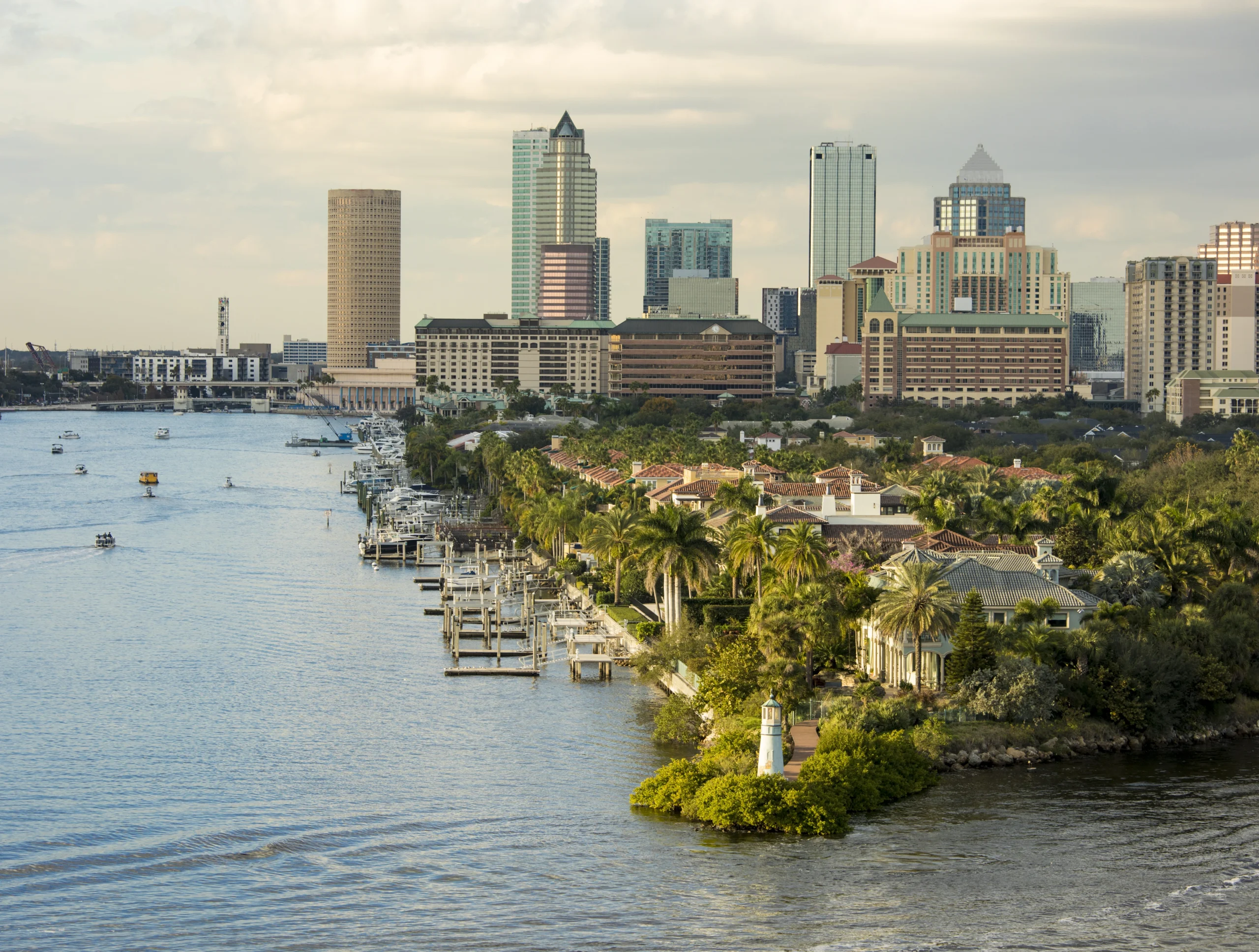 Waterfront Tampa pest problems
