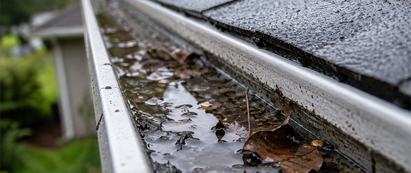 full gutter with rain, leaves and debris