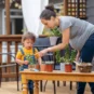 Create a Safe Haven Pest Control Tampa