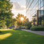 sun shining through trees on office lawn and shrubs
