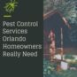 Which Pest Control Services Do Orlando Homeowners Really Need