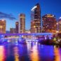 tampa pest control guide