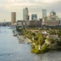 Waterfront Tampa pest problems