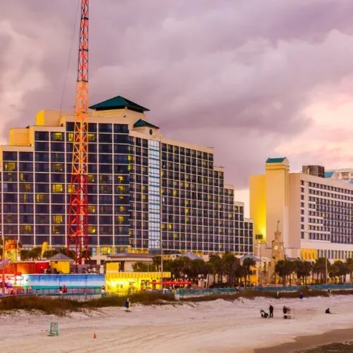 Daytona-Beach-Florida-Pest-Control-Turner-1-500x500 Daytona-Beach-Florida-Pest-Control-Turner-1-500x500