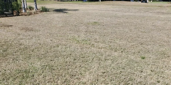 Dormant Lawn