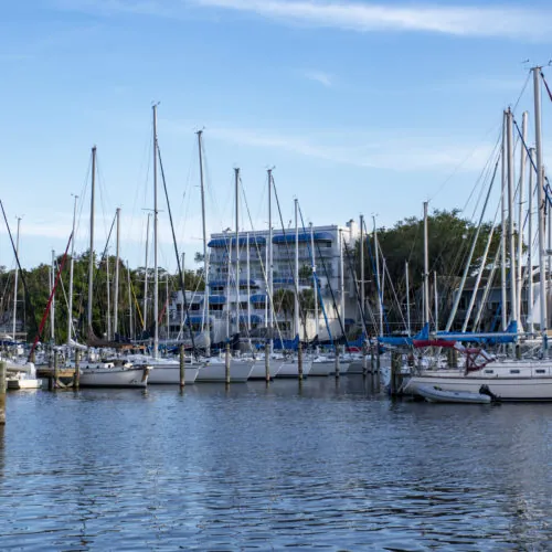pest control services on the FL coast