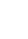 ant