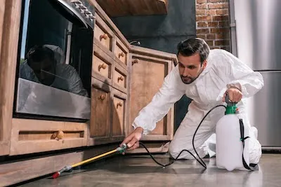 Fort Myers pest control expert spraying around kitchen cabinets