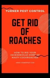 jacksonville roach control services