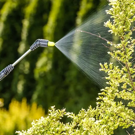 weed management lawn and pest control