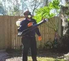 mosquito-control-services-backyard-