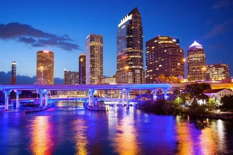 tampa pest control guide